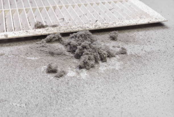 Best Air Duct Cleaning Near Me  in Webster Groves, MO
