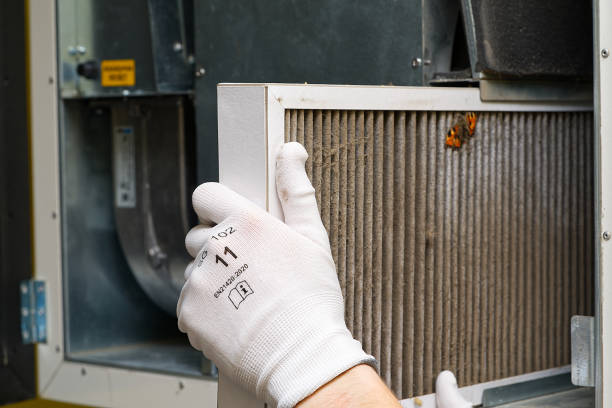 Best Ventilation Cleaning Services  in Webster Groves, MO