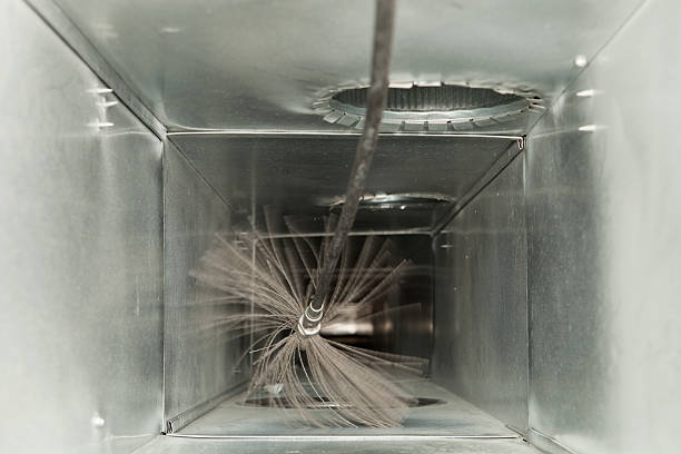Best Affordable Duct Cleaning Services  in Webster Groves, MO