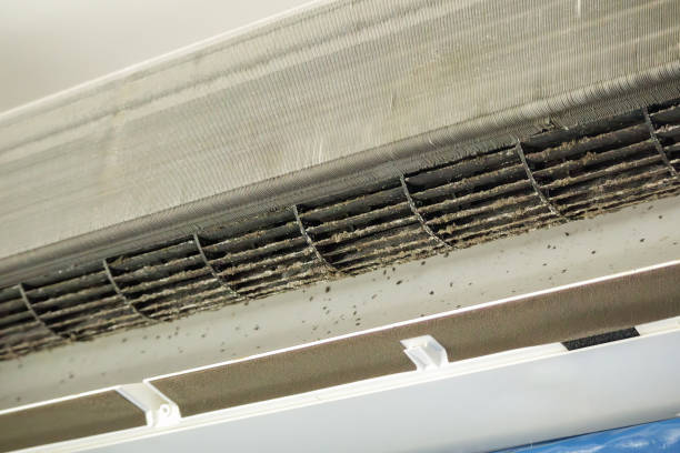 Best Residential Air Duct Cleaning  in Webster Groves, MO